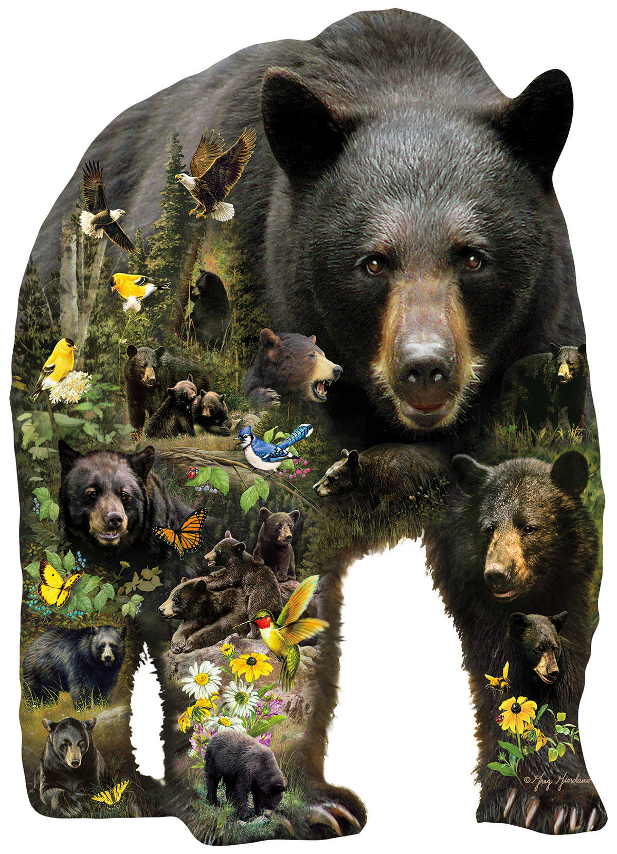 Forest Bear