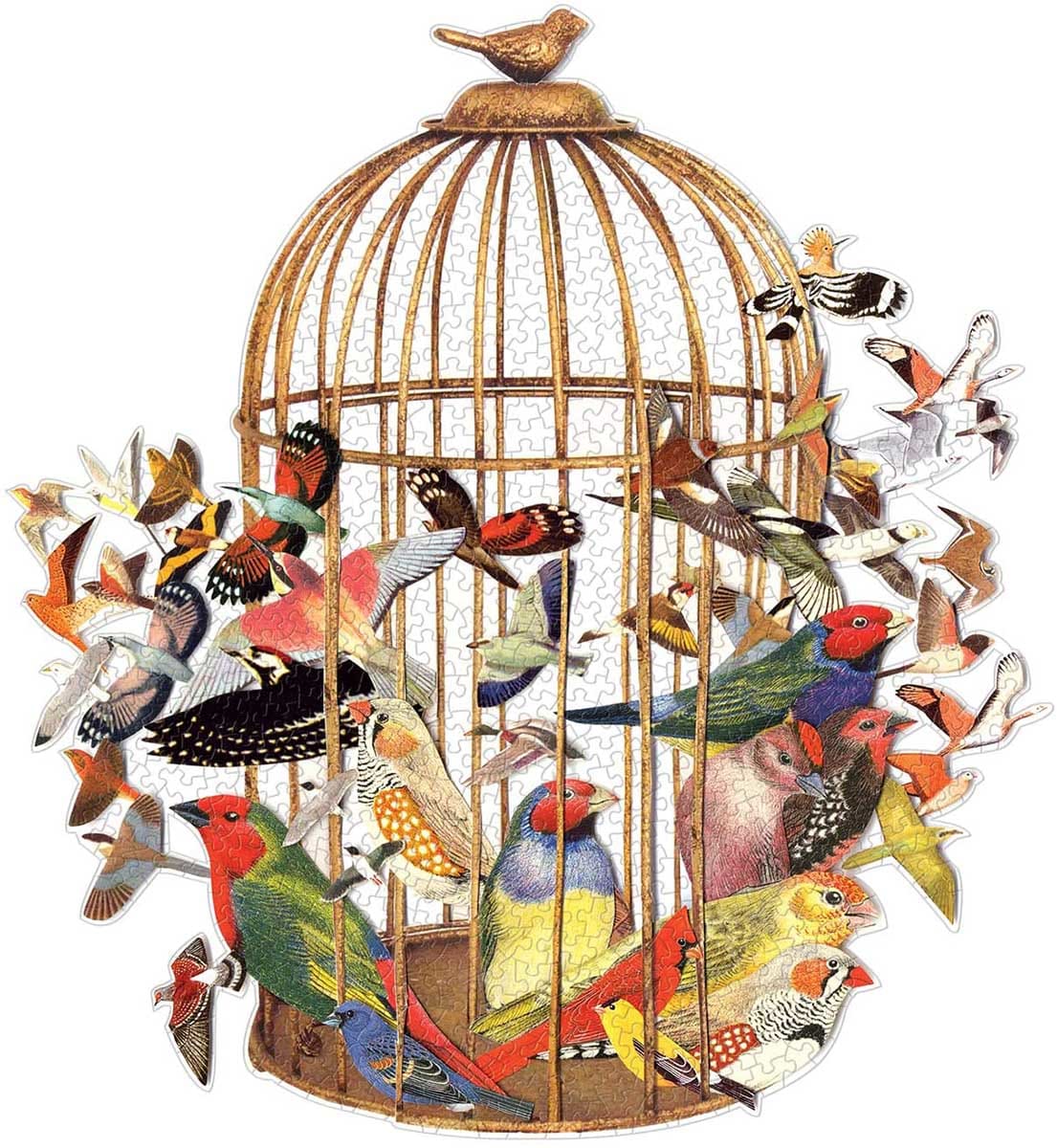 Bouquet of Birds