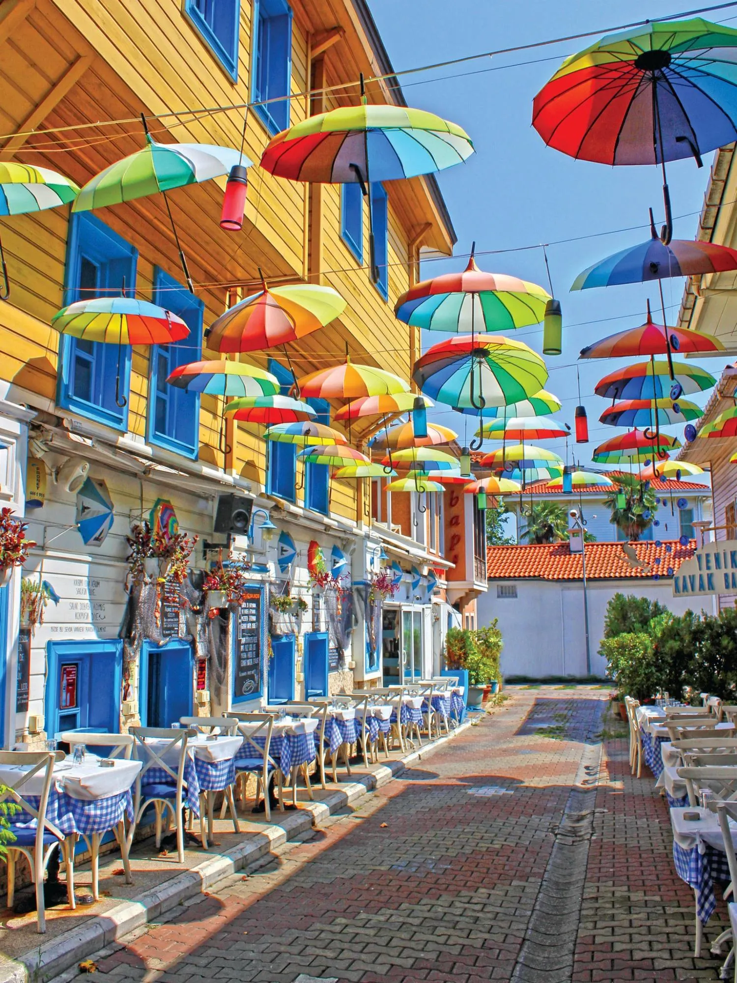 Colorful Parisols (Mustafa Tayfun Özcan)