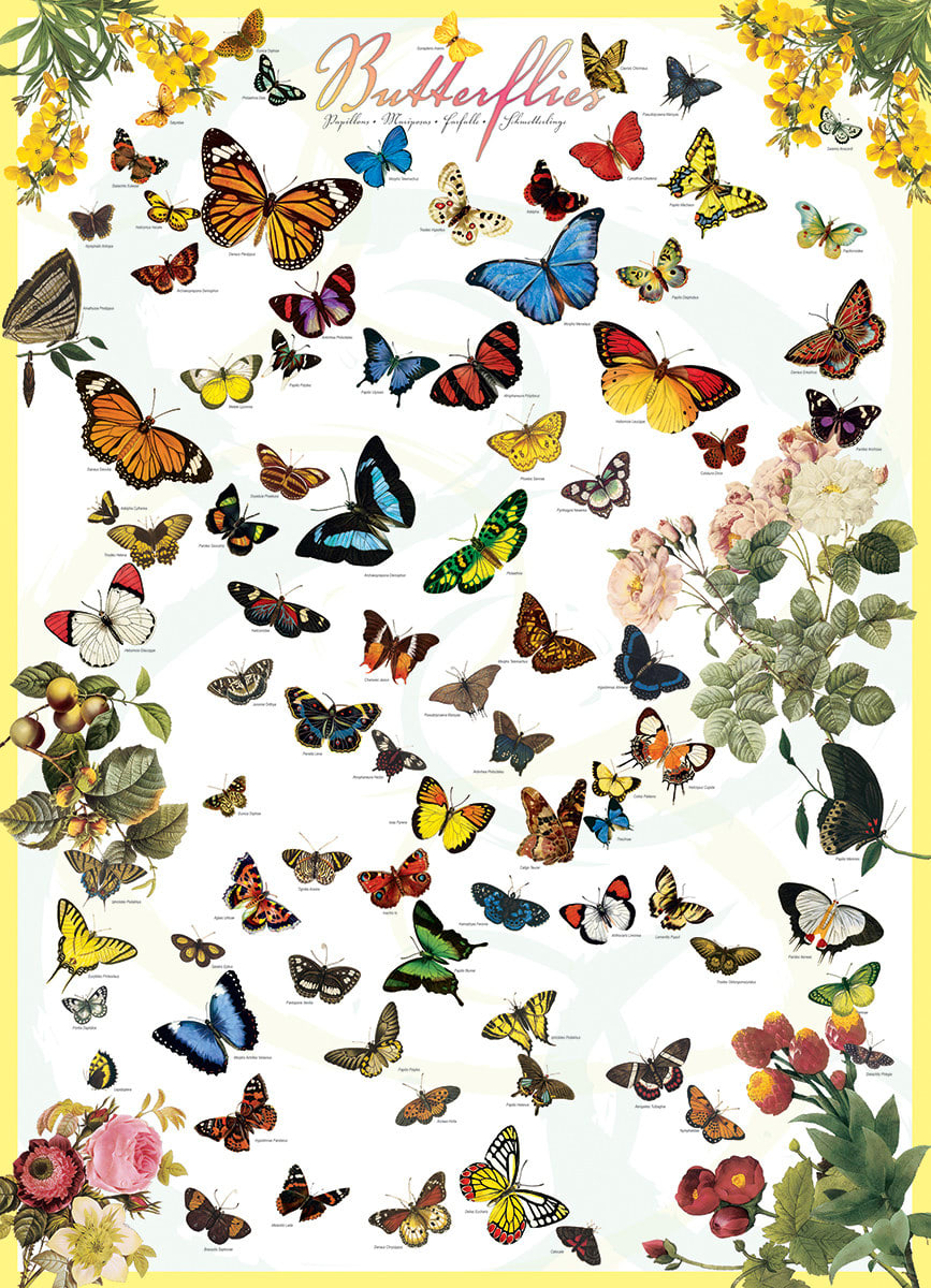 Butterflies