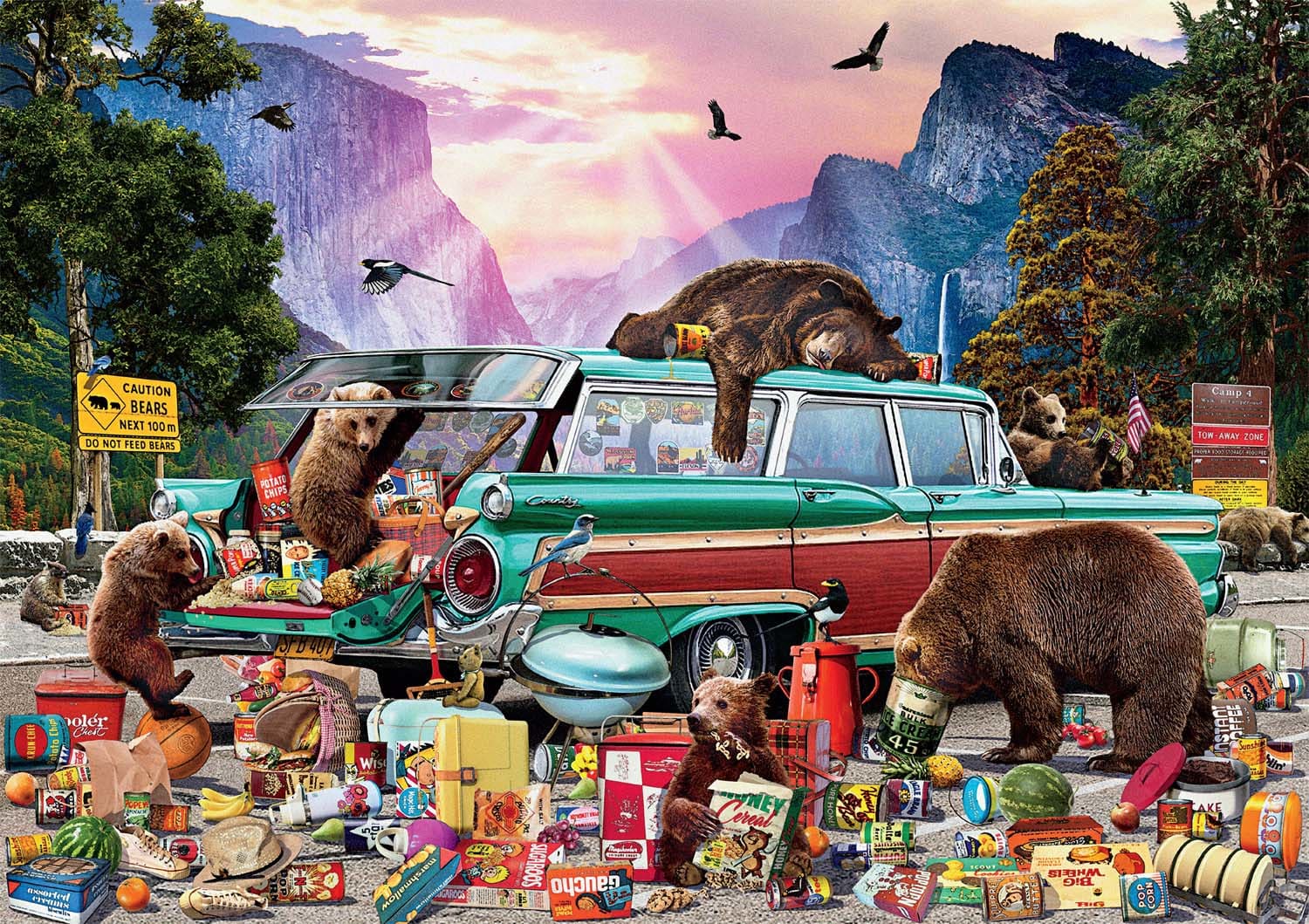 Yosemite Picnic