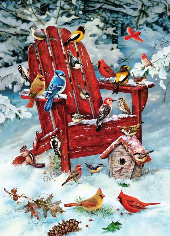 Adirondack Birds