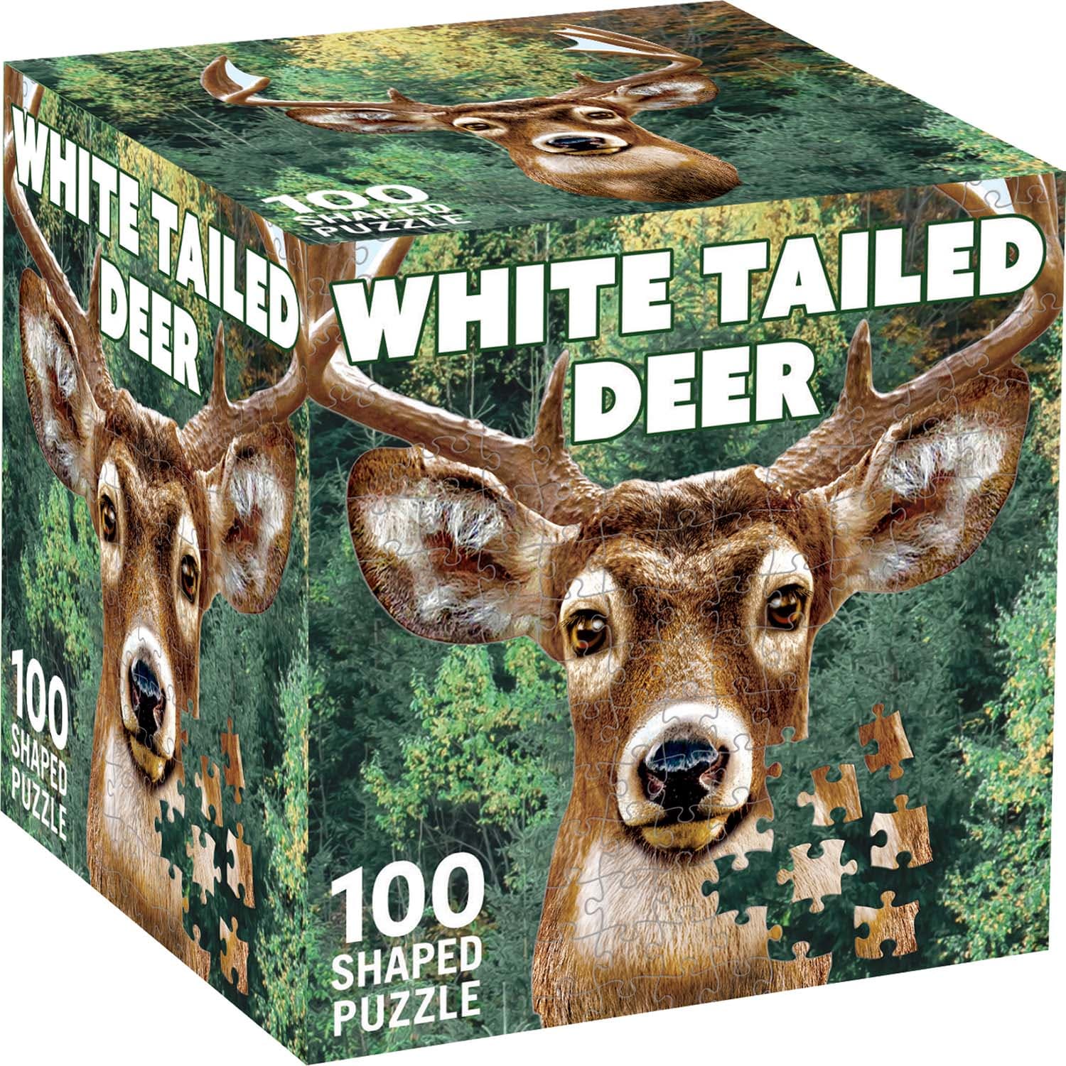 White Tail Deer
