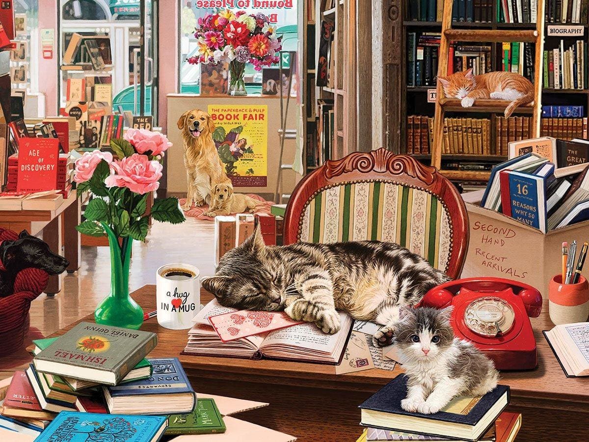 Cozy Bookshop