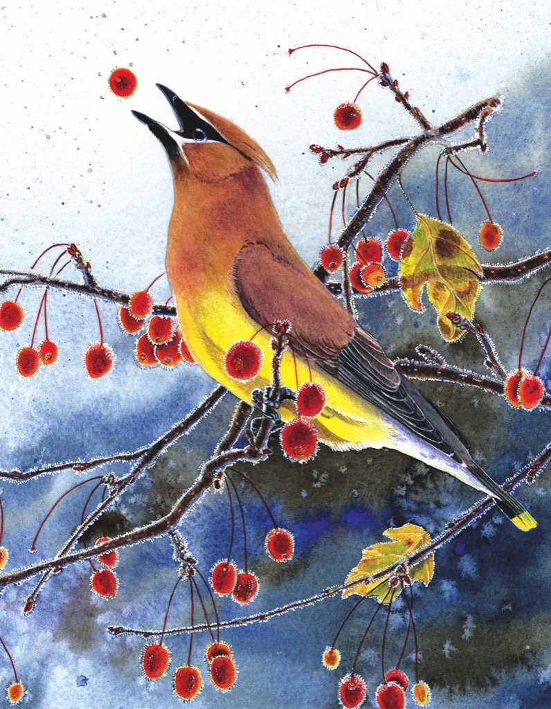 Cedar Waxwing Mini Puzzle
