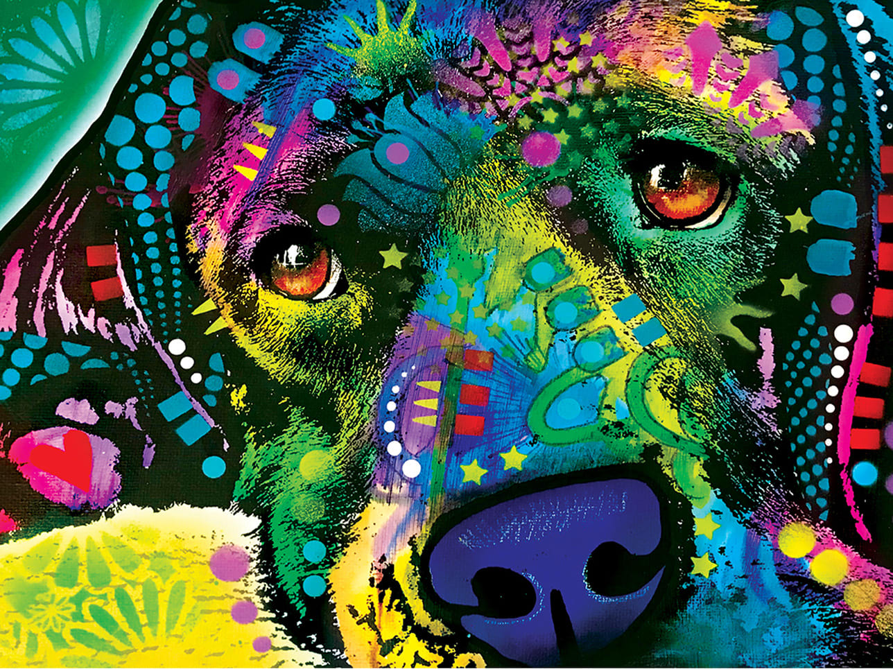 Cold Wet Nose