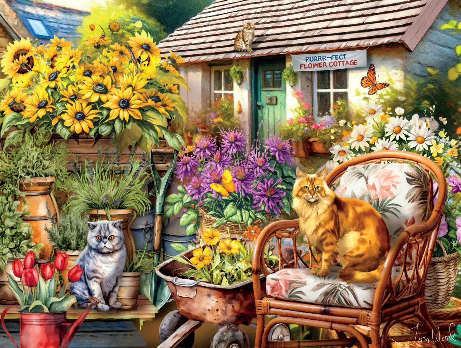Cats: Country Cats