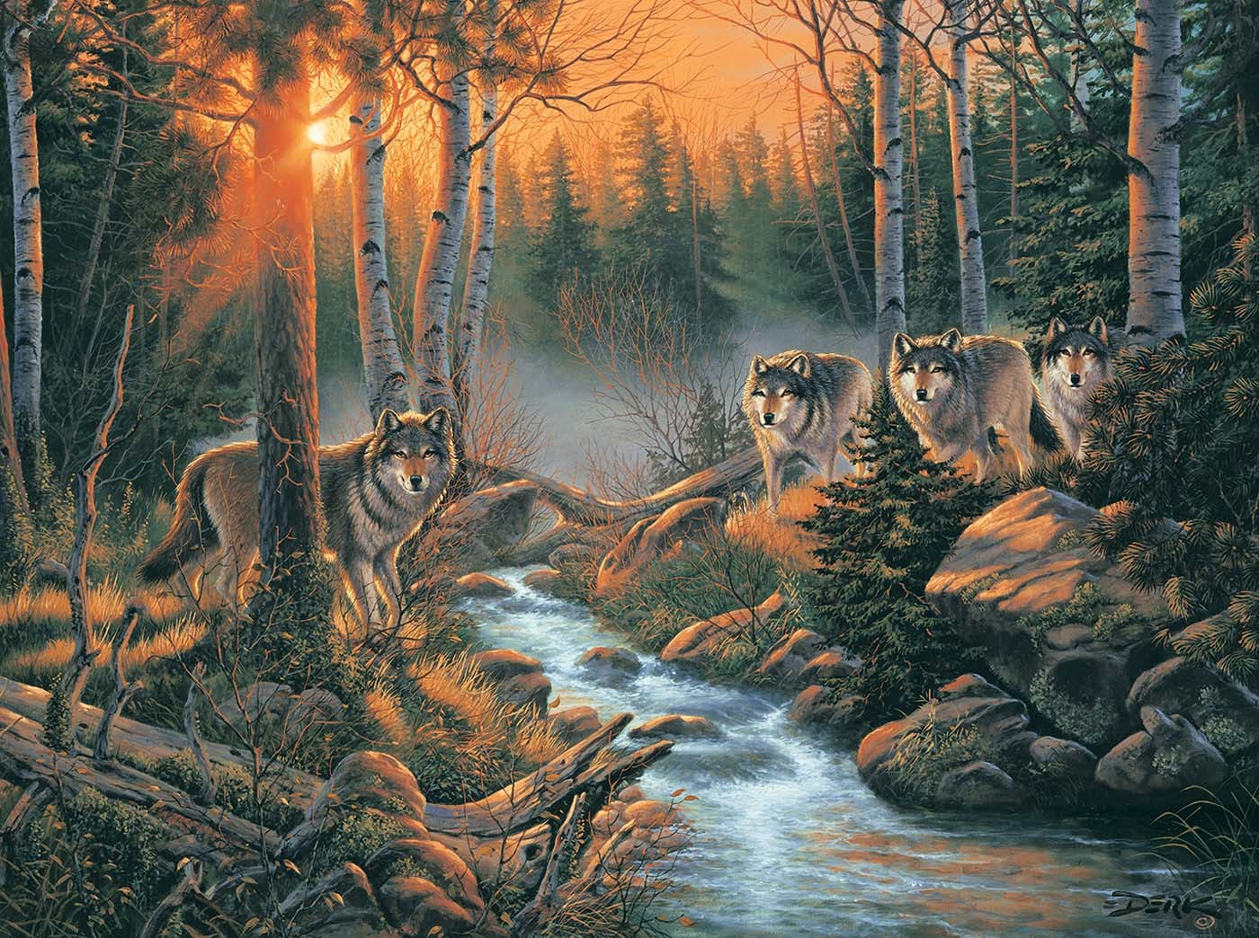 Forest Shadows